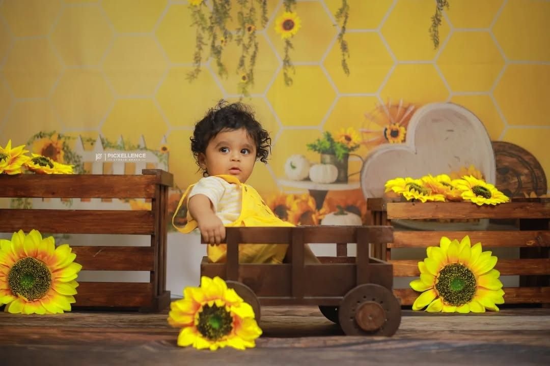 Picxellence Studio Theme 4